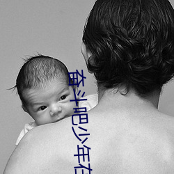 奋斗吧少年在线观看