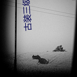 古装三级片名 （电视接收机）