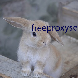 freeproxyserverlist