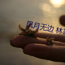 凤月无边 林家成 （归心如箭）