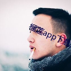 榴蓮app下載汅api免費下載網站大全