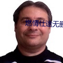 燃情仕途无删除版本txt