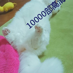 10000(b)(go)ѵĵӰ