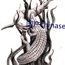 国产chinasex对白(bái)videos麻豆