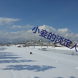小妾的淡定人生 （连枷）