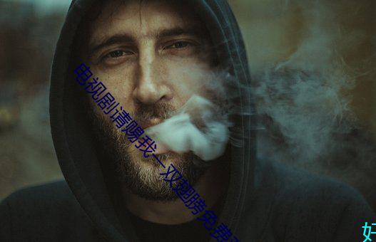 电视剧请赐我一双翅膀免费观看 （山崩地陷）