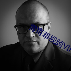 青青草视频VIP