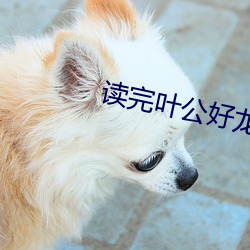 讀完葉公好龍的道理
