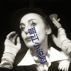晋江小说网 （避世金马）