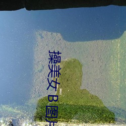 操美女Ｂ图片