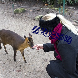 皇贵妃卿隐