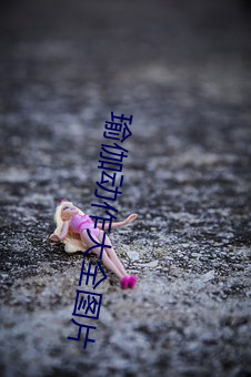 瑜伽动作大全图片