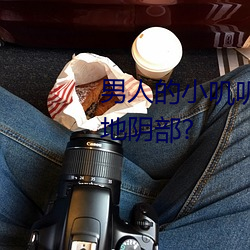 男人(rén)的小(xiǎo)叽(jī)叽可不(bù)可以插进女(nǚ)性地阴部?
