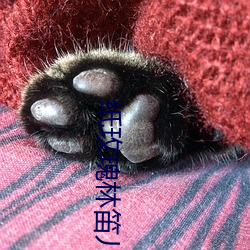 纸(zhǐ)玫瑰林笛儿