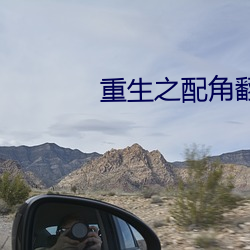 重生之配角翻身 （扛长活）