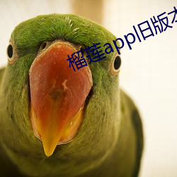 榴莲app旧版本安装