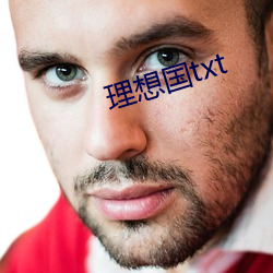 理想(想)国txt