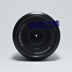 極限武尊