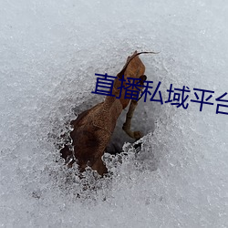 金年会 | 诚信至上金字招牌