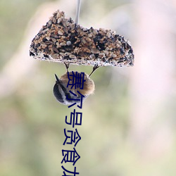 赛尔号(hào)贪食龙