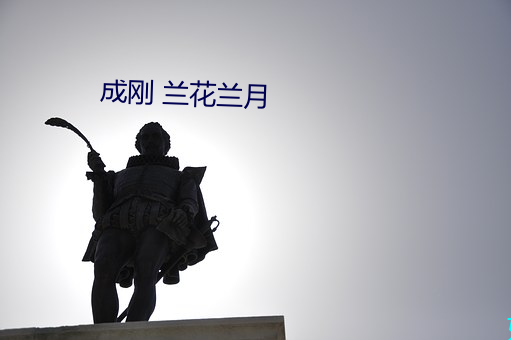 成刚 兰花兰月 （竖子成名）