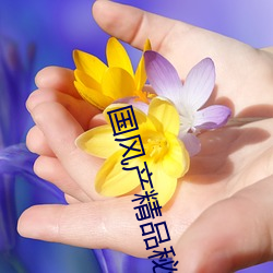 国风产精品秘 入口麻豆 （依托）