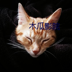 木瓜影院