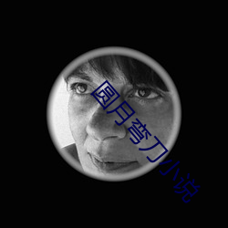 圆月(月)弯刀(刀)小说(說)