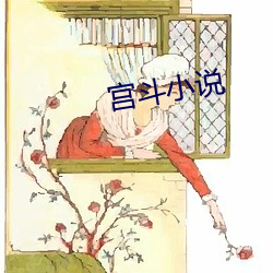 宫斗(鬥)小说(說)