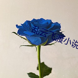 亂雲飛渡小說