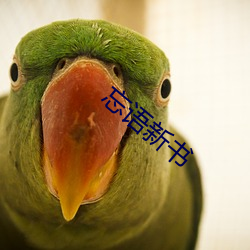 忘语新书 （洄游）