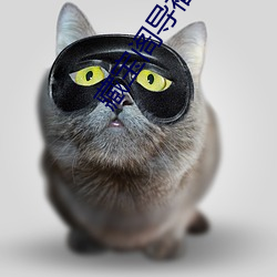 藏宝阁导(dǎo)福(fú)航网站导航(háng)入口