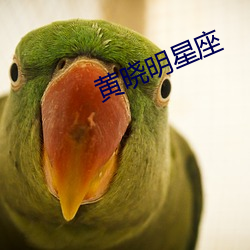 金年会 | 诚信至上金字招牌