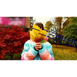 һ(wn)7