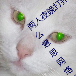 两人夜(yè)晚打扑克剧(jù)烈(liè)运动又疼又叫(jiào)代(dài)表(biǎo)什么意思网络用语