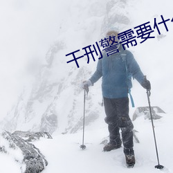 干(幹)刑警需(需)要(要)什(什)么条件
