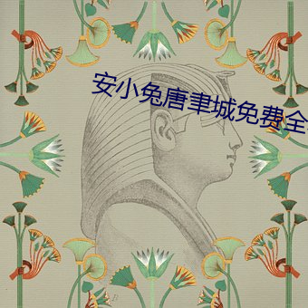 安小兔(兔)唐聿城免费全本(本)无弹窗