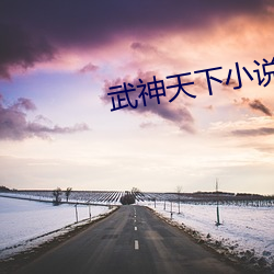 武神天下小說