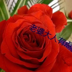 老婆大人有点暖(nuǎn)