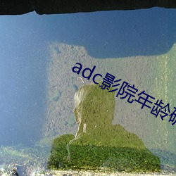 adc影院年龄确认免费观看 （先手）