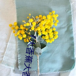 《大香蕉大香蕉aV影视》高清不卡在线观看 （走投无路）
