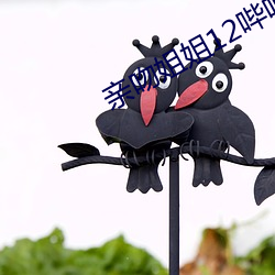 亲(親)吻姐(姐)姐12哔哩哔哩