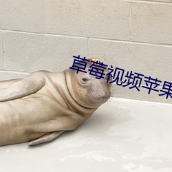 草(草)莓视(視)频(頻)苹果iosapp