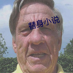 替身小说