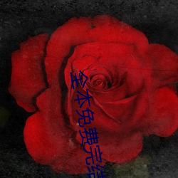 金年会 | 诚信至上金字招牌