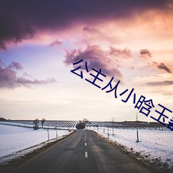 公主从小晗玉器走路段凝 （旧书）