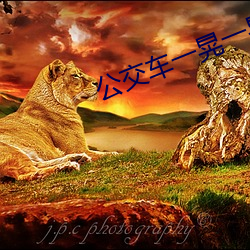 公交车一晃一晃(huǎng)就(jiù)进去了视