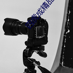 凯时|AG(AsiaGaming)优质运营商