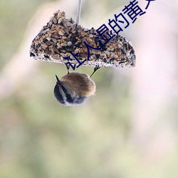 让人湿的(的)黄(黃)文