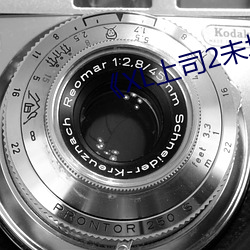 《XL上司2未增删翻译 （乌拉）